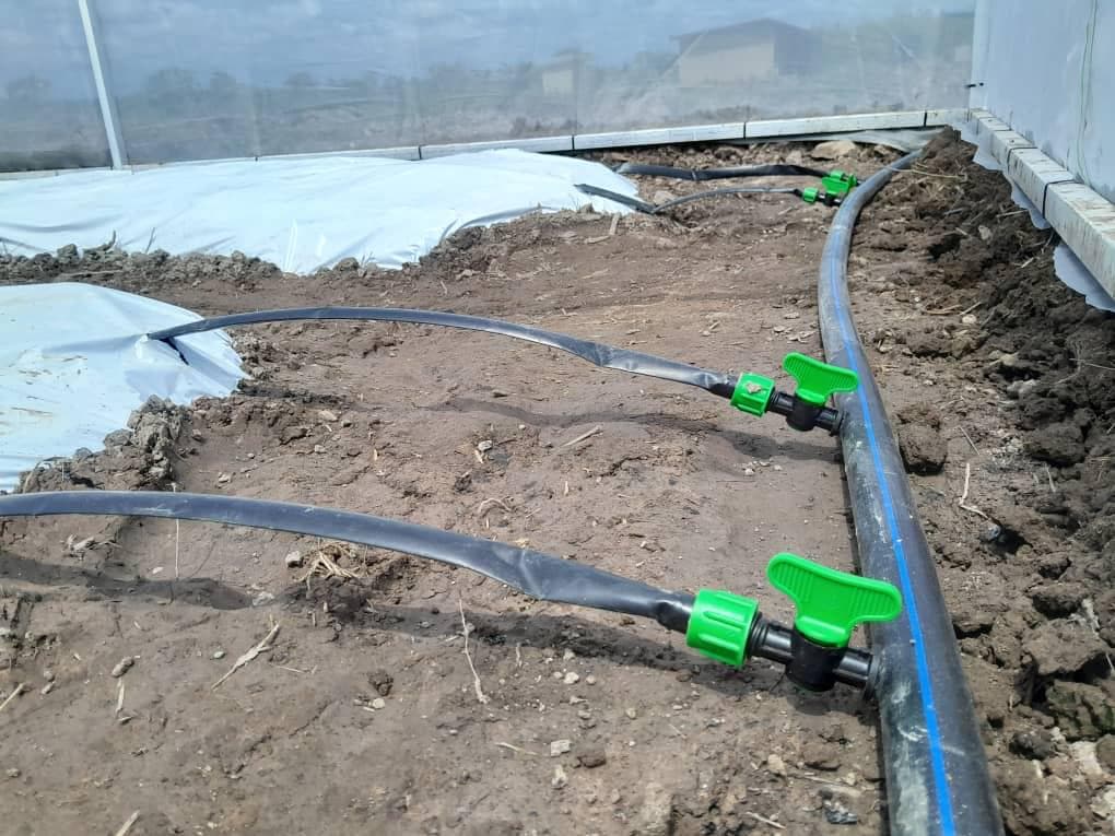 Irrigation lines installed inside a GAB greenhouse structure